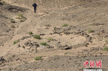 内蒙古阿拉善多处文物遗址取得重大发现