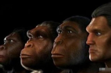 几亿年后，猿类动物有可能进化成人类吗？