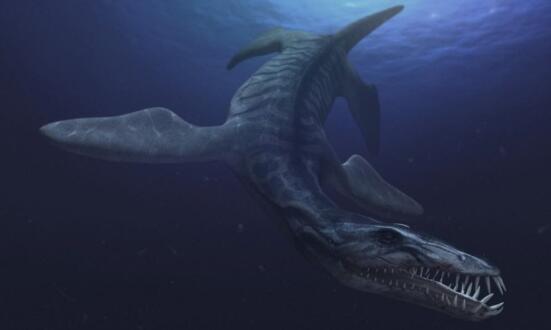 水中的恐龙有哪些？生活在水中的恐龙十大排名