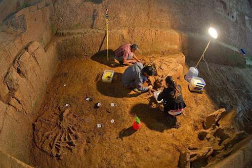 考古时候发现的遗骸会怎么处理?