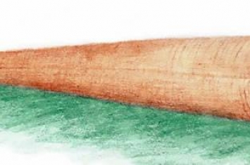 “云南肉茎螺”研究表明古生代海洋中软舌螺动物与腕足动物具有亲缘关系
