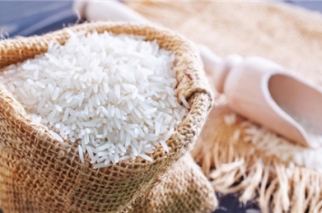 大米中的米虫为什么凭空出现