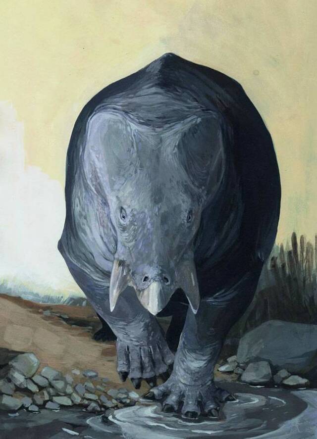 大象大小的哺乳动物近亲二齿兽在晚三叠世出现 当时恐龙才刚进化出巨大体型