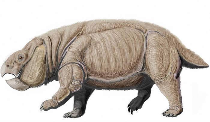 大象大小的哺乳动物近亲二齿兽在晚三叠世出现 当时恐龙才刚进化出巨大体型