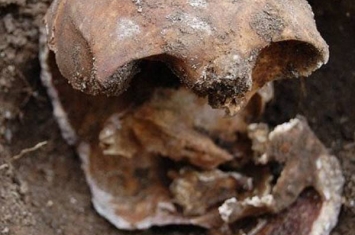 英国居民后院挖出132年前头骨破百年悬案