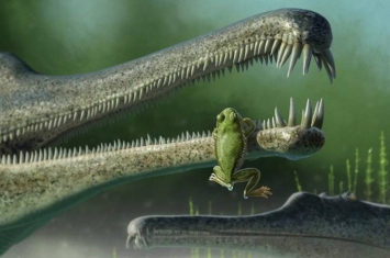 美国亚利桑那州发现2.16亿年小青蛙遗骸“靑利” 以三叠纪大陆的靑利地质构造命名