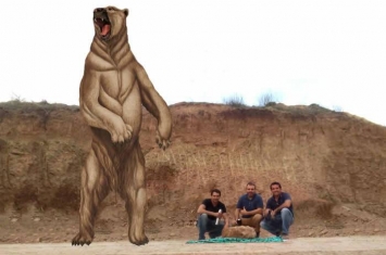 阿根廷采石场发现70万年前“南美细齿巨熊”遗骸化石 体重800公斤