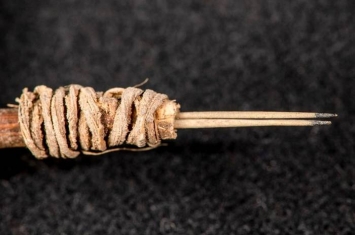 考古学家辨识出2000年前的刺青针 将美国西南部刺青的证据年代往回推1000年