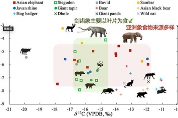 《第四纪科学评论》：华南和东南亚地区更新世亚洲象和剑齿象摄食行为的研究进展