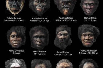 人类面部进化不仅仅出于生物学需要 也是沟通工具