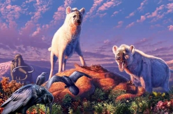 远古鬣狗生活在北极地区：加拿大北部发现牙齿化石属于已灭绝的豹鬣狗