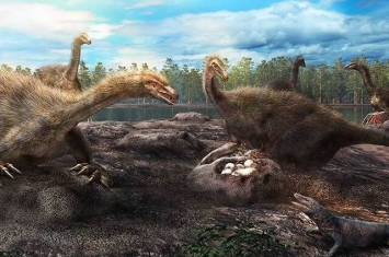 一些恐龙喜欢群居筑巢护蛋