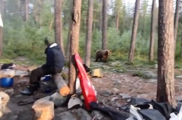 俄罗斯男子郊外露营唱歌成功赶走棕熊