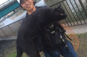 日本网友去河边钓鱼遇到巨大神秘黑色野猫