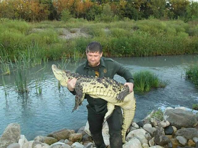 车臣共和国总统卡德罗夫Ramzan Kadyrov“徒手抓鳄鱼”