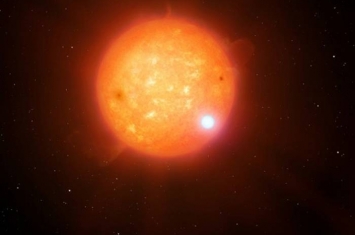 发现了首颗存在掩食现象的白矮星+冷亚矮星双星 并测量出冷亚矮星的质量和半径