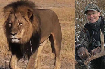 津巴布韦环境部长称美国牙医沃尔特帕尔马不会因猎杀狮王“塞西尔”而遭指控