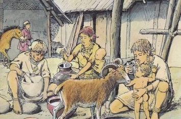 德国新石器时代村落中发现的奶瓶让我们得以一瞥史前人类如何照顾婴儿