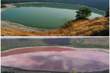印度马哈拉施特拉邦的5.6万年陨石湖洛纳尔湖一夜变粉红 谜团待解