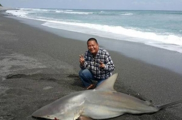 台湾台东海边钓到120公斤鲨鱼——公牛白眼鲛