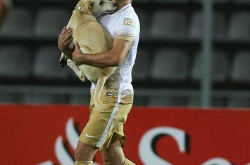 小狗闯入阿根廷举办的南美洲自由杯 成为美洲新足球明星