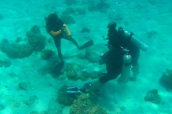 泰国布吉皇帝岛韩国游客踩踏珊瑚拍照 触及当地保育法例