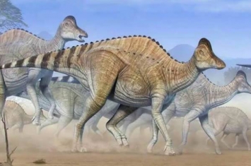 鸭嘴龙科亚冠龙的软骨化石中可能找到恐龙的DNA碎片？