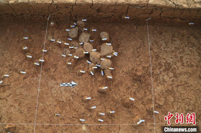 陕西一旧石器时代遗址出土上万件石制品 60万年前已有古人类在洛南盆地活动