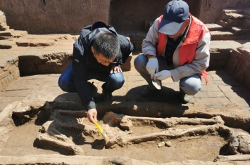 辽宁凌海发现汉代密集墓葬群