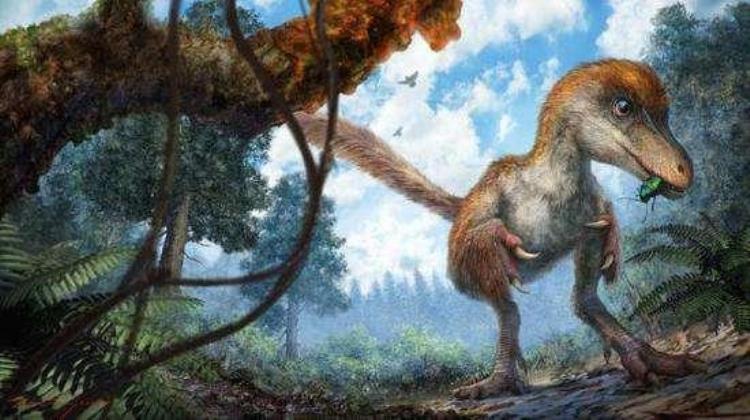 关于恐龙的10种未解谜团子,史前恐龙十大谜团