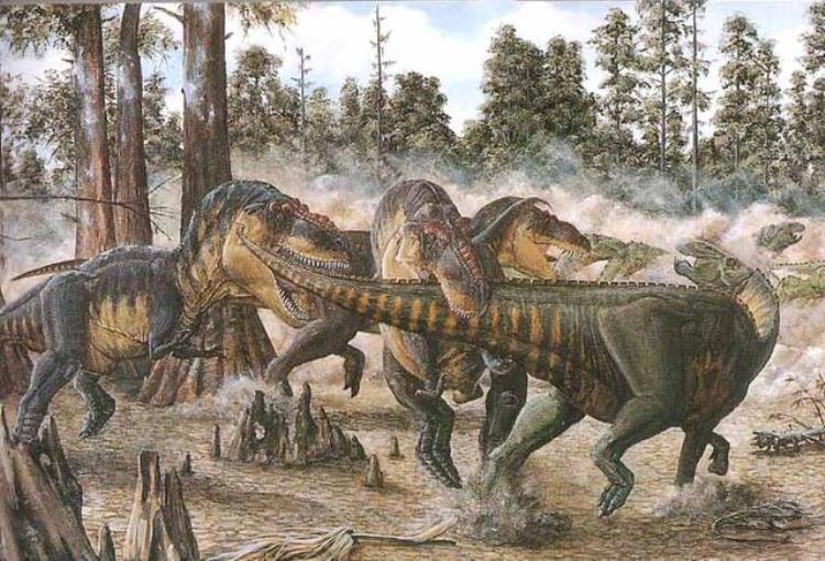 关于恐龙的10个未解之谜是什么,关于恐龙的10大秘密
