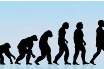 人类的进化过程是什么又分为几个阶段的,人类进化的过程分为四个阶段