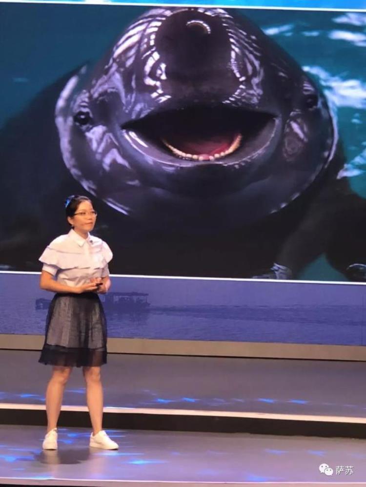 长江白鳍豚还存在吗「11年前被宣布灭绝的白鳍豚重现长江它可比国宝大熊猫珍贵太多了」