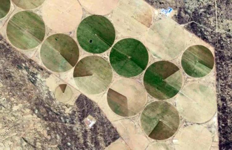 点沙成土万亩沙漠变良田卫星照片曝光北方某地一连串麦田怪圈