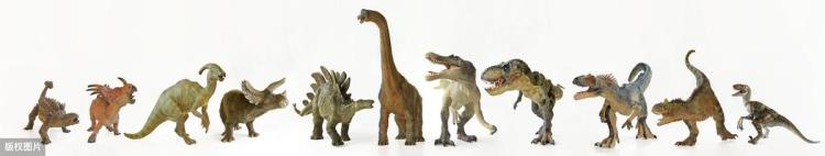 你还知道哪些关于恐龙演变的知识,恐龙进化史是怎么来的