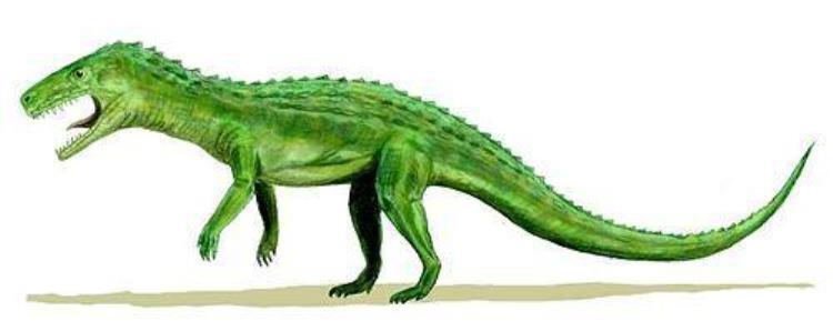 你还知道哪些关于恐龙演变的知识,恐龙进化史是怎么来的