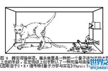 揭秘薛定谔的猫，一个无聊的实验(猫死不死铀说了算)