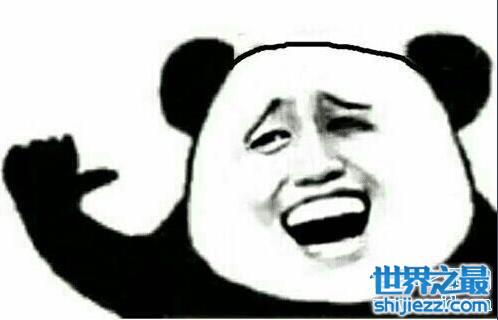 搞笑金馆长熊猫表情包，用笑容席卷世界的男人