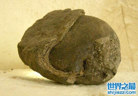 中国四大名香龙涎香是什么，抹香鲸的结石价值千金