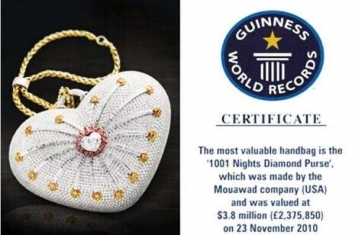 世界上最贵的手袋:价值380万美金(镶嵌4517颗钻石)