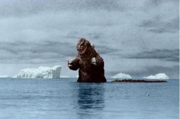 1958年南极哥斯拉事件是真的吗,1957年日本南极探险队的真实故事