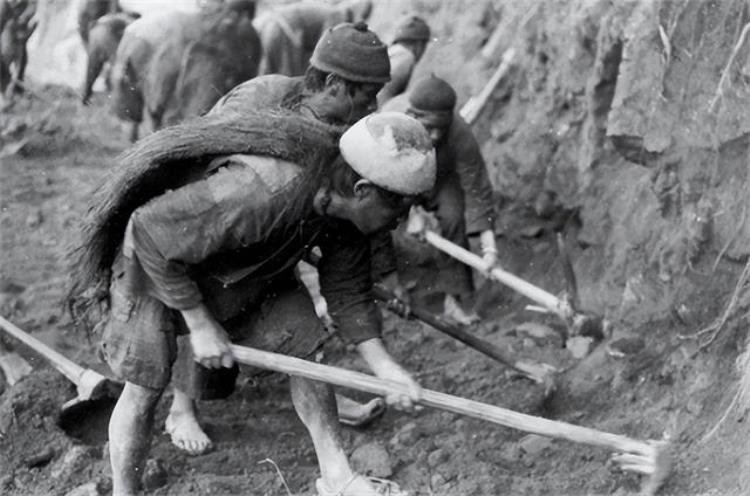 云南村民上山采药意外挖出油桶棺材里面躺的皆是军人遗骸