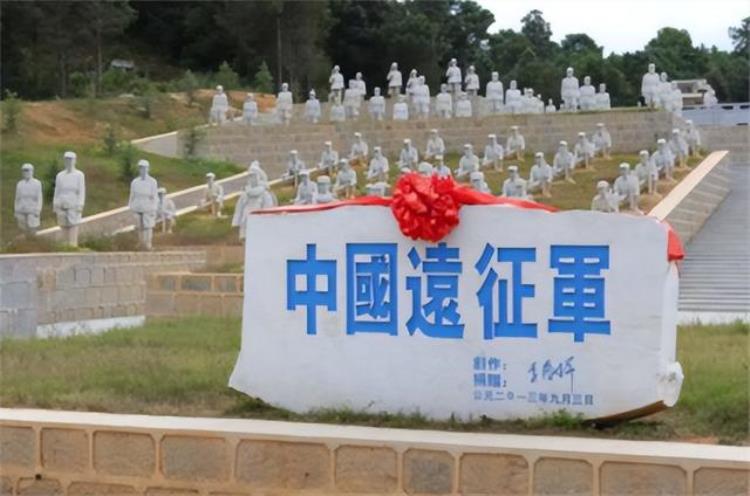 云南村民上山采药意外挖出油桶棺材里面躺的皆是军人遗骸