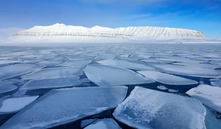 科学家称气候变暖或致北极病毒溢出网友称万物皆有规律不用悲观