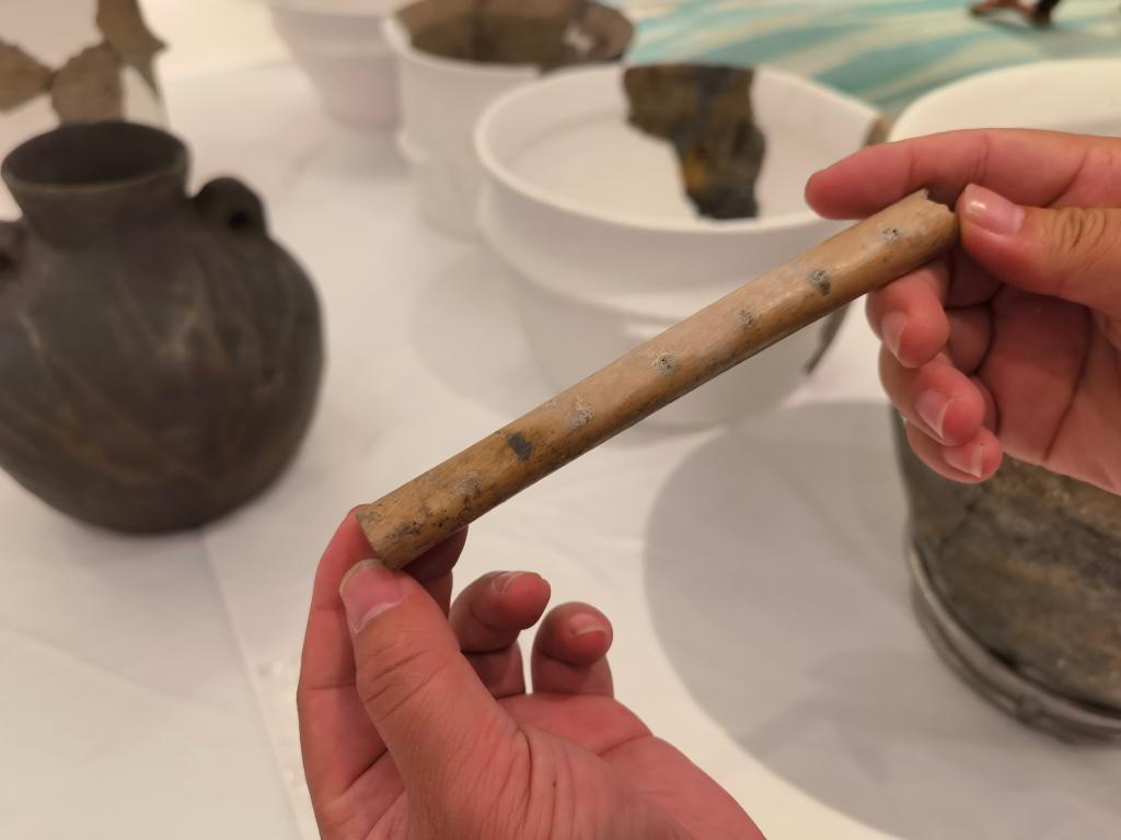 江苏兴化发现距今约7000年的新石器遗址