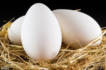 孕期为什么要吃鹅蛋呢,而是因为有这些好处
