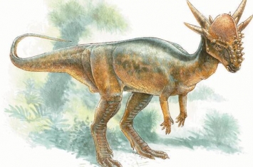 冥河龙：北美洲小型食草恐龙（长3米/长相怪异似羊似鹿）