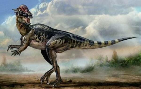 斯托姆柏格龙：非洲小型恐龙（长2米/距今1.89亿年前）