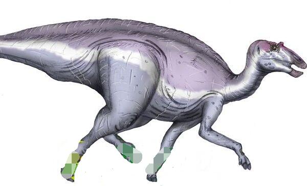 似鸵龙：北美洲小型食草恐龙（4.3米/类似鸵鸟的恐龙）