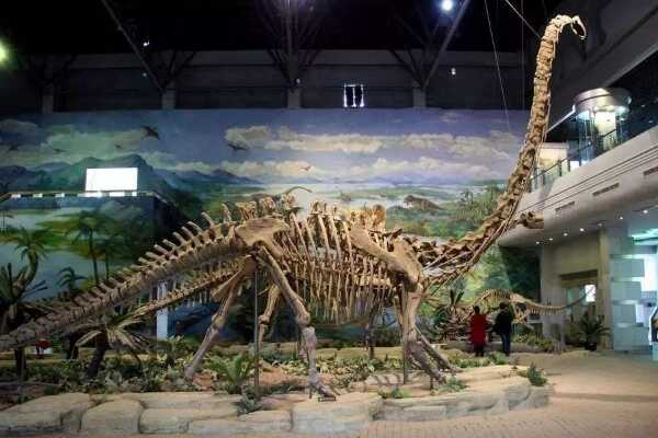 北美草食梁龙科恐龙:难觅龙 体长18米(拥有罕见4爪)